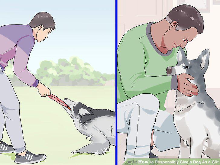 Step 12