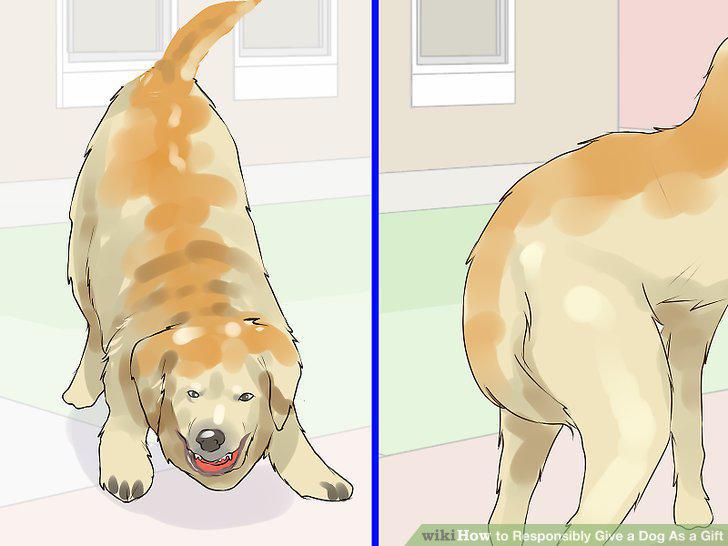 Step 13