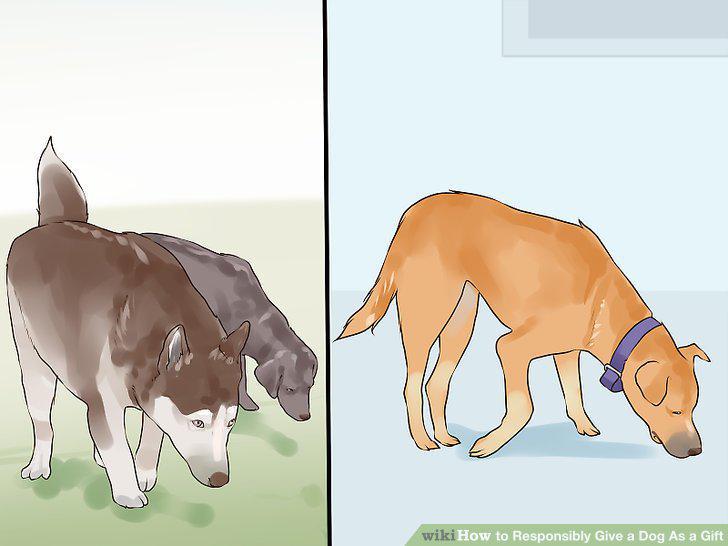 Step 14