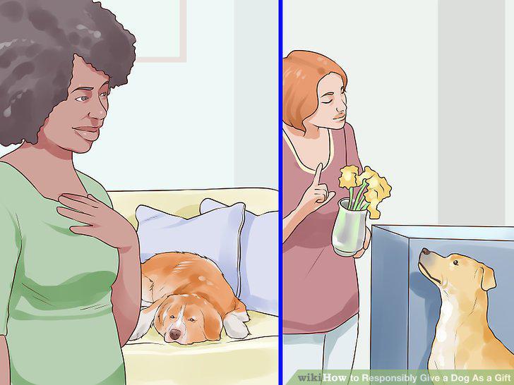 Step 16