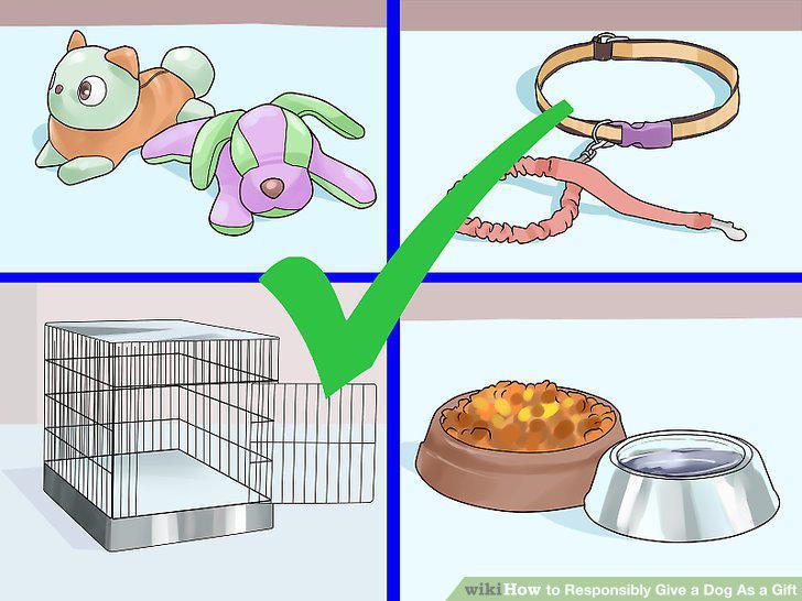 Step 7