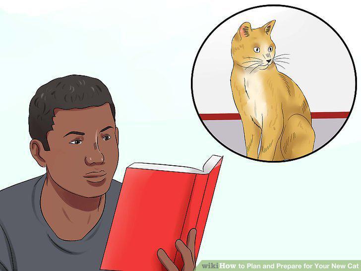 Step 11