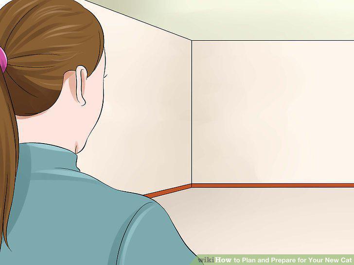 Step 13