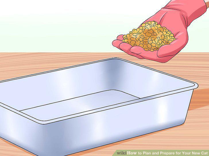 Step 14