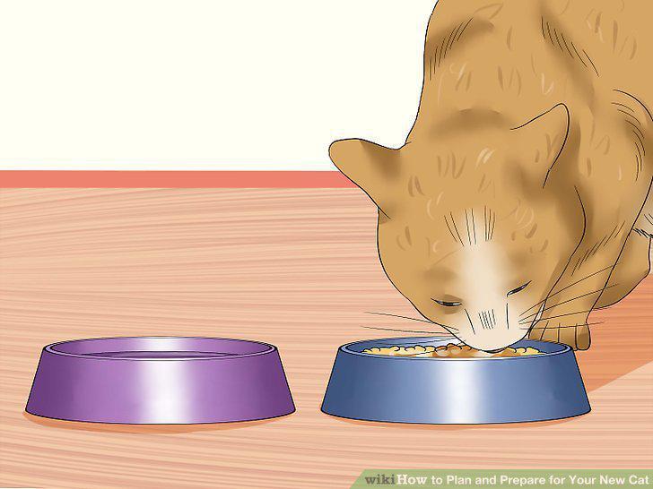 Step 15