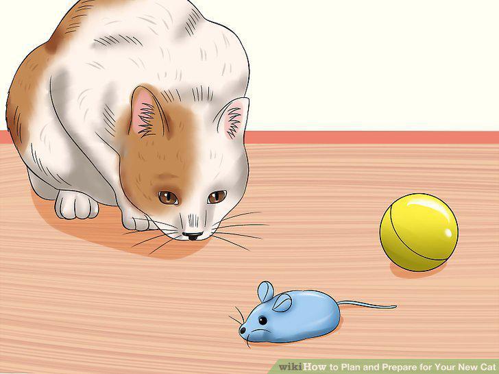 Step 16