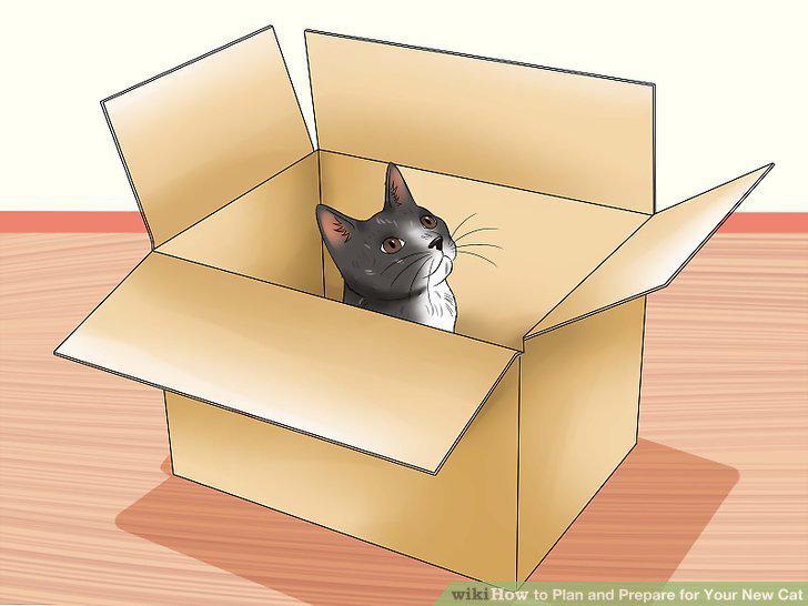 Step 17