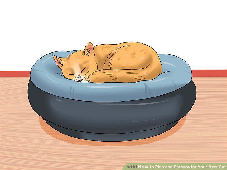 Step 18