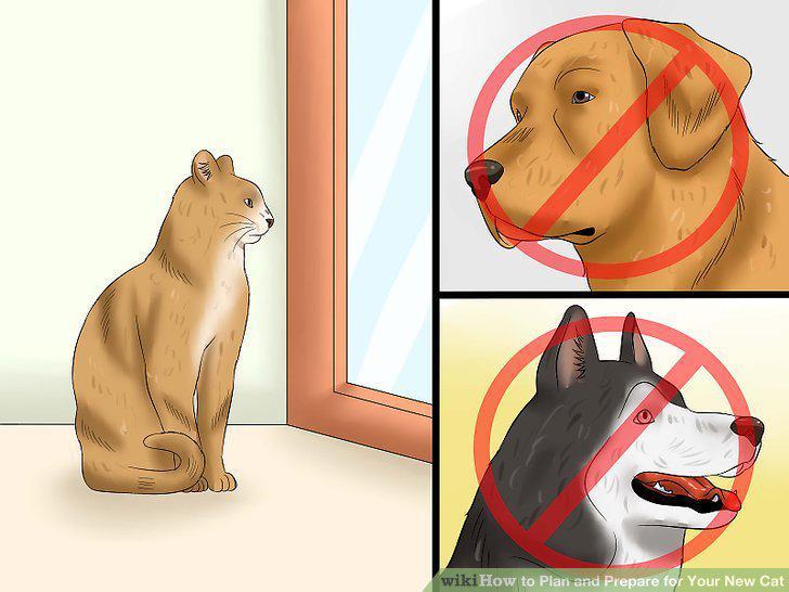 Step 19