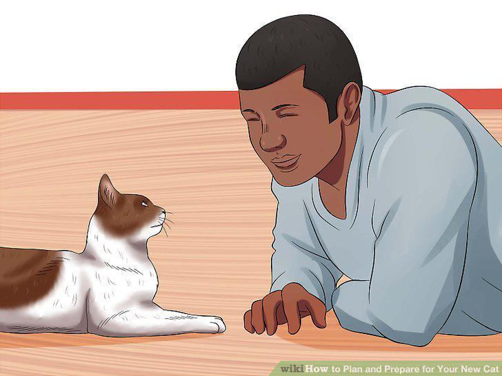 Step 20