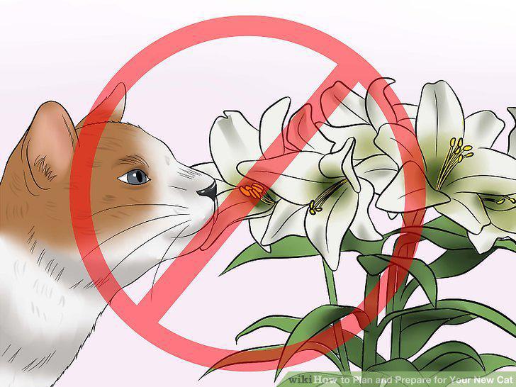Step 4