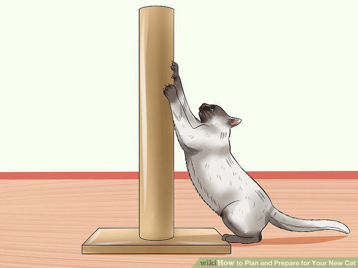 Step 8
