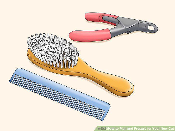 Step 9