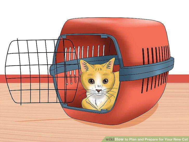 Step 10