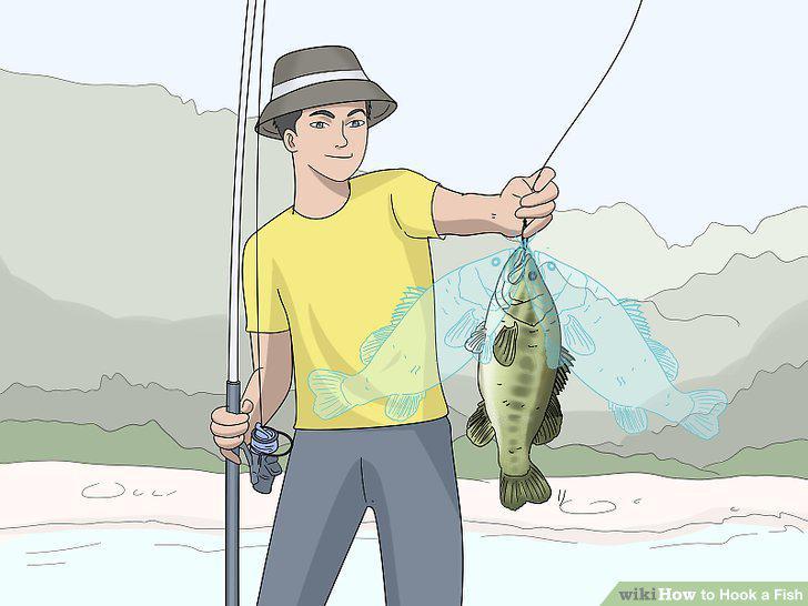 Step 12