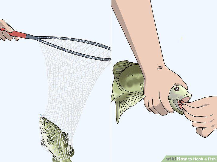 Step 13