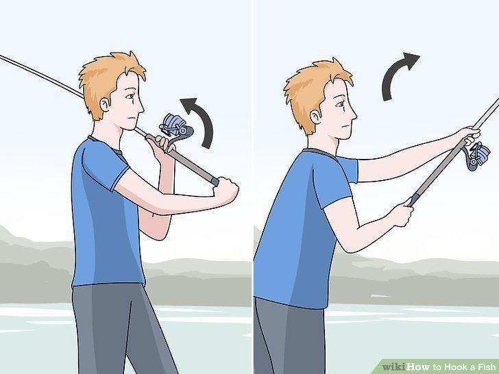 Step 5