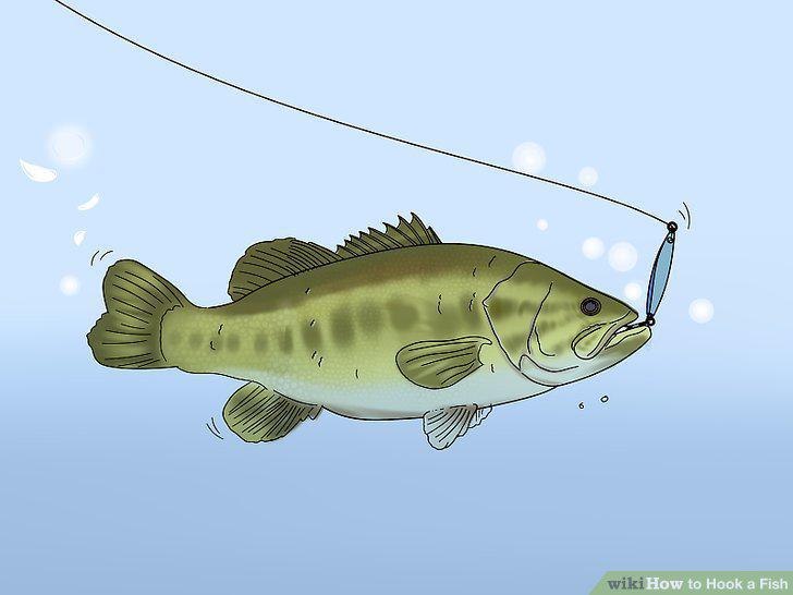 Step 8