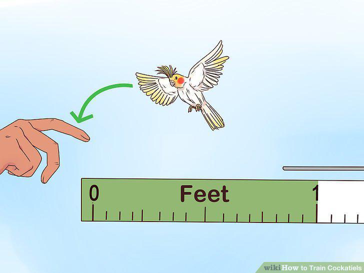Step 14