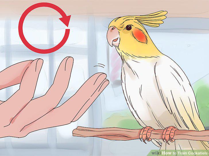 Step 5