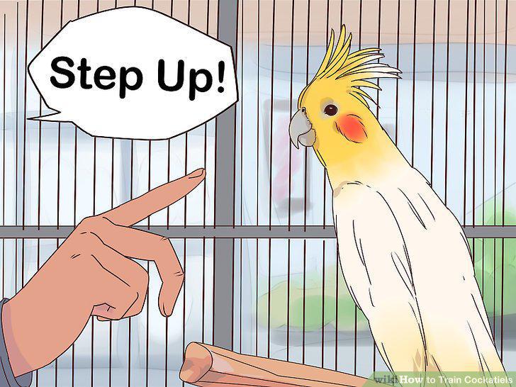 Step 9