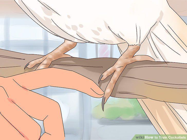 Step 10