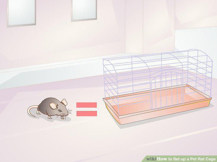 Step 13