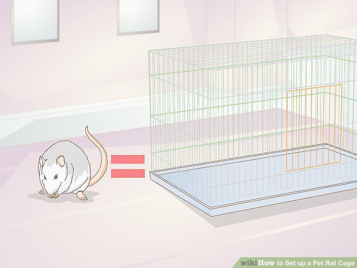 Step 14
