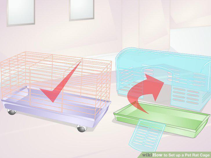 Step 15