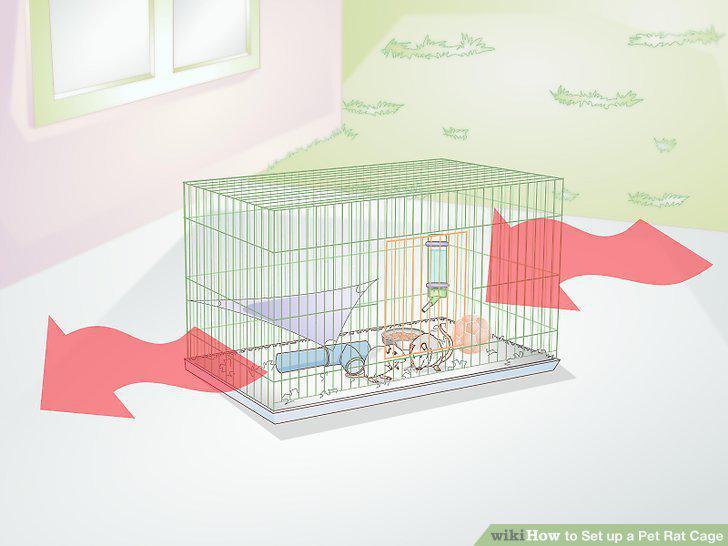 Step 8
