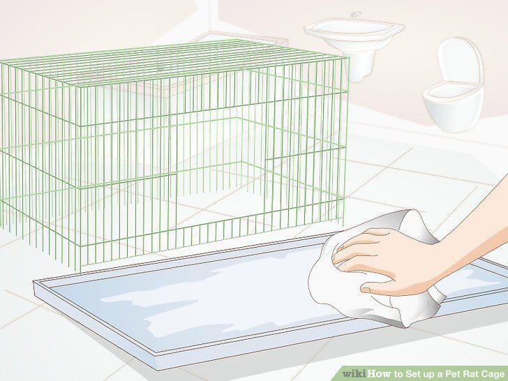 Step 10