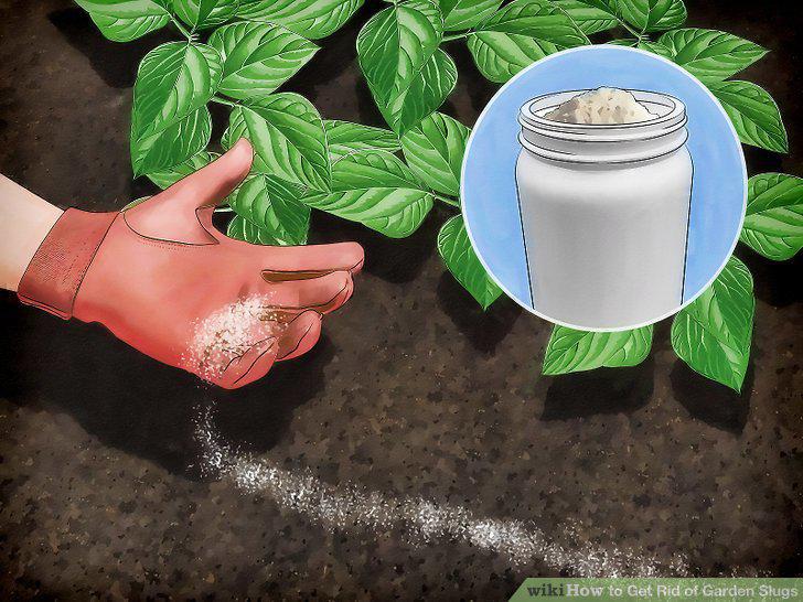 Step 12