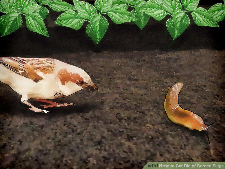 Step 14