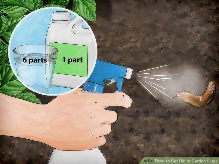 Step 17