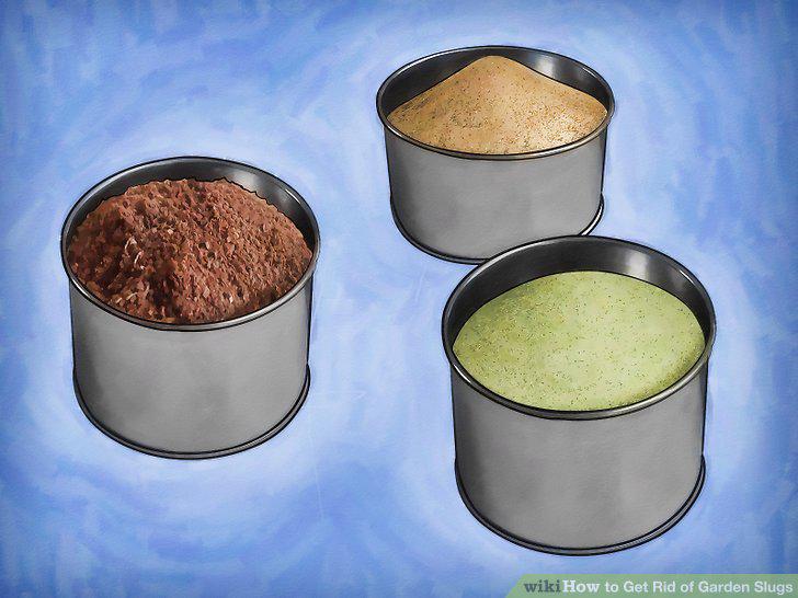 Step 10