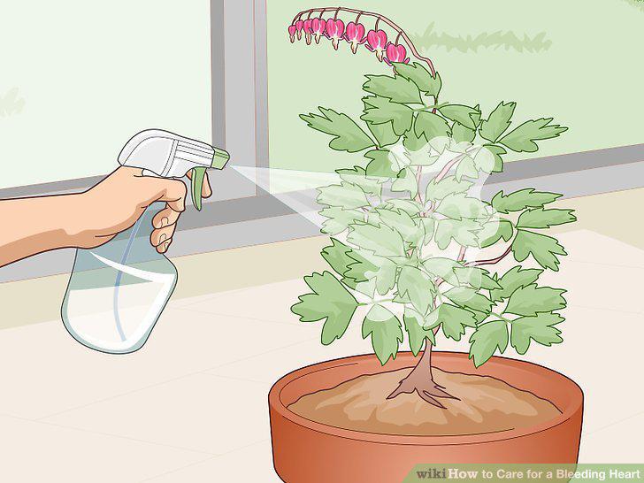 Step 11
