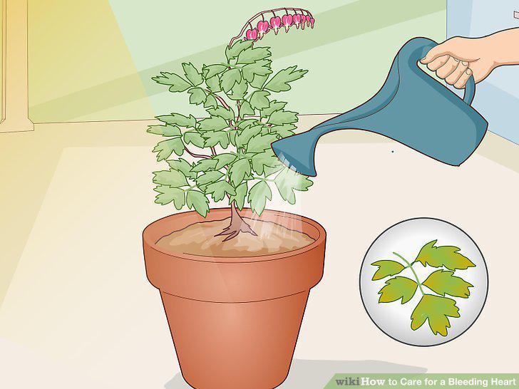 Step 13