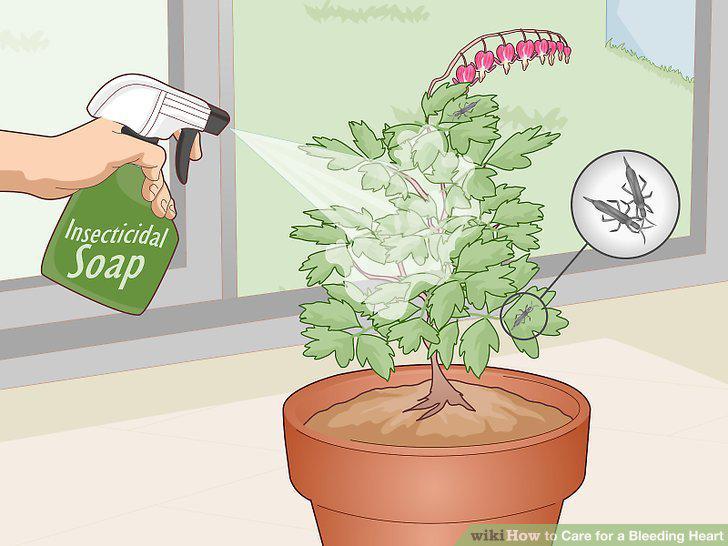 Step 14
