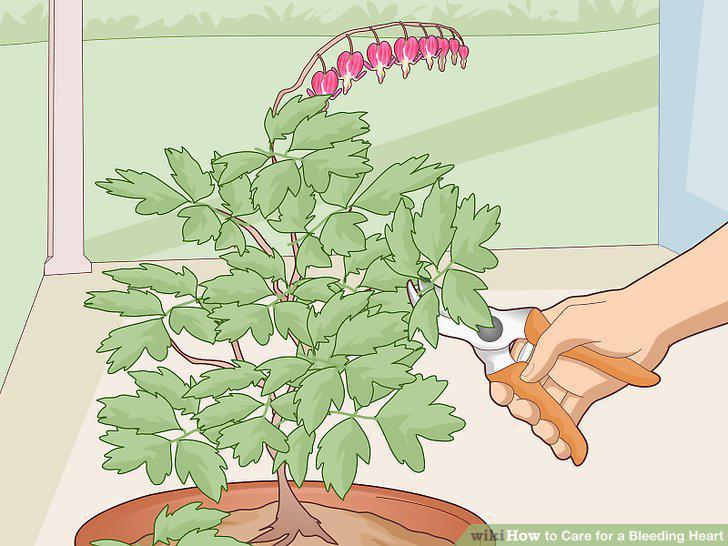 Step 15