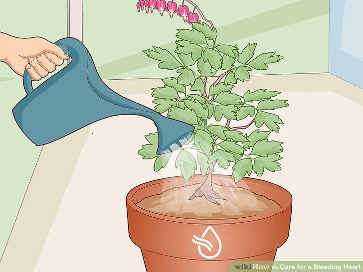 Step 17
