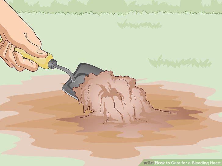 Step 4