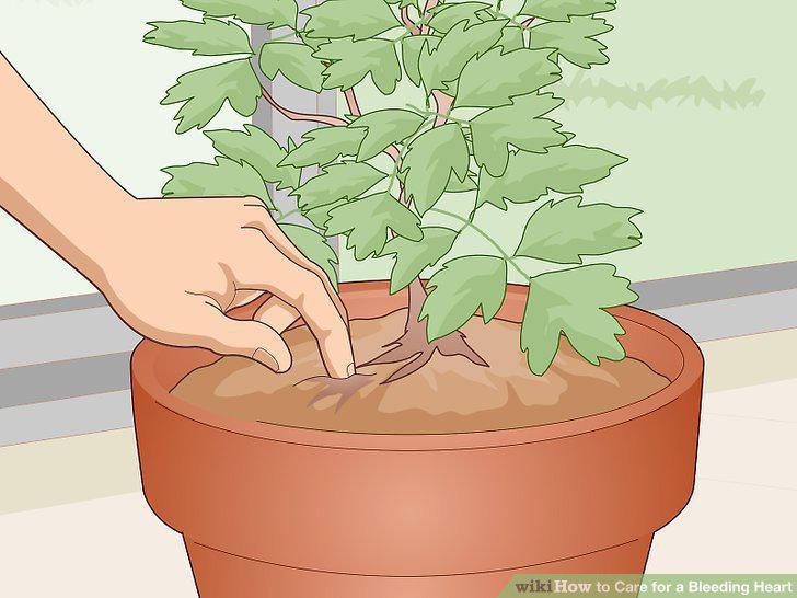 Step 9