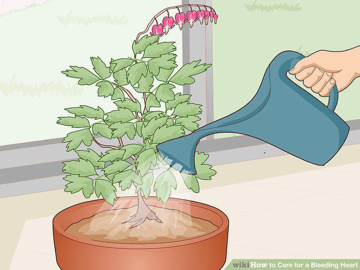 Step 10