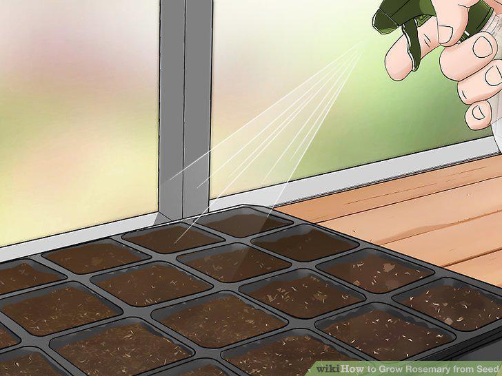 Step 13