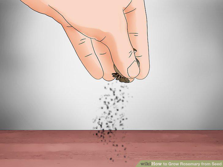 Step 4