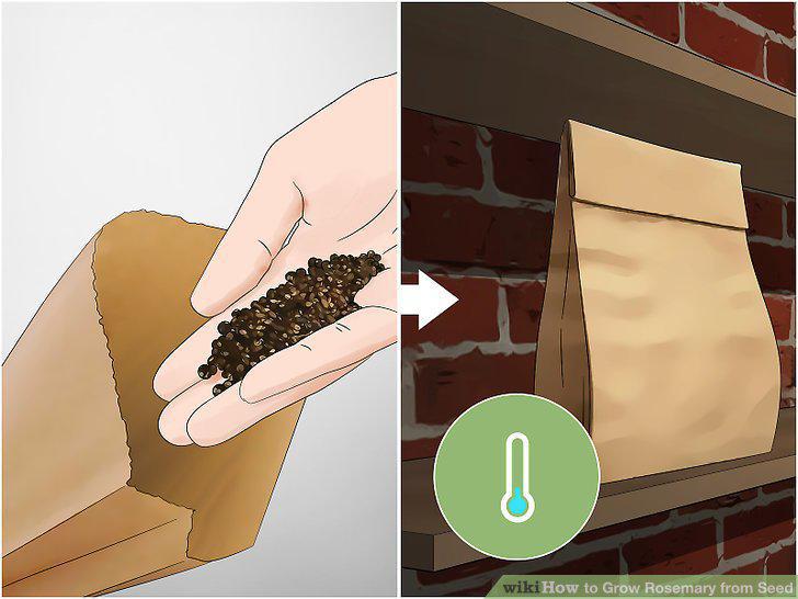 Step 5