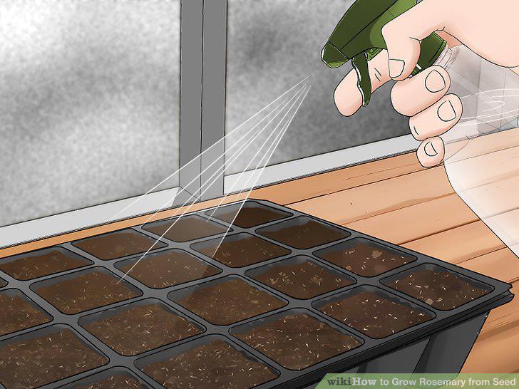 Step 9