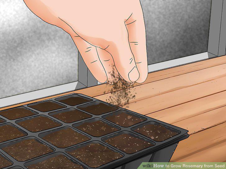 Step 10