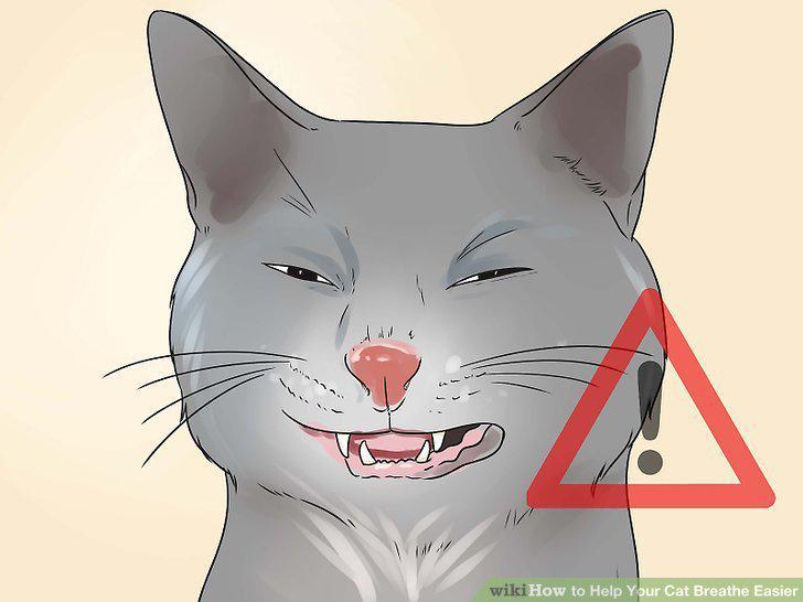 Step 2