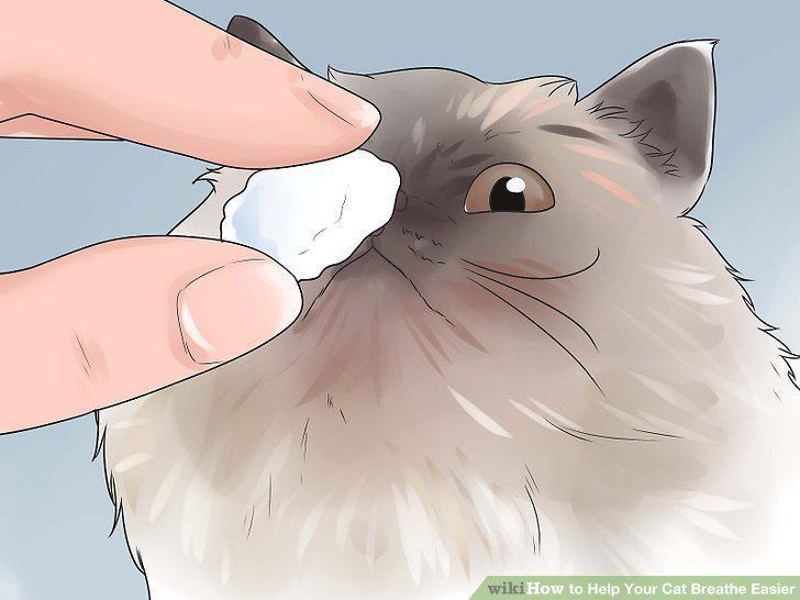 Step 11